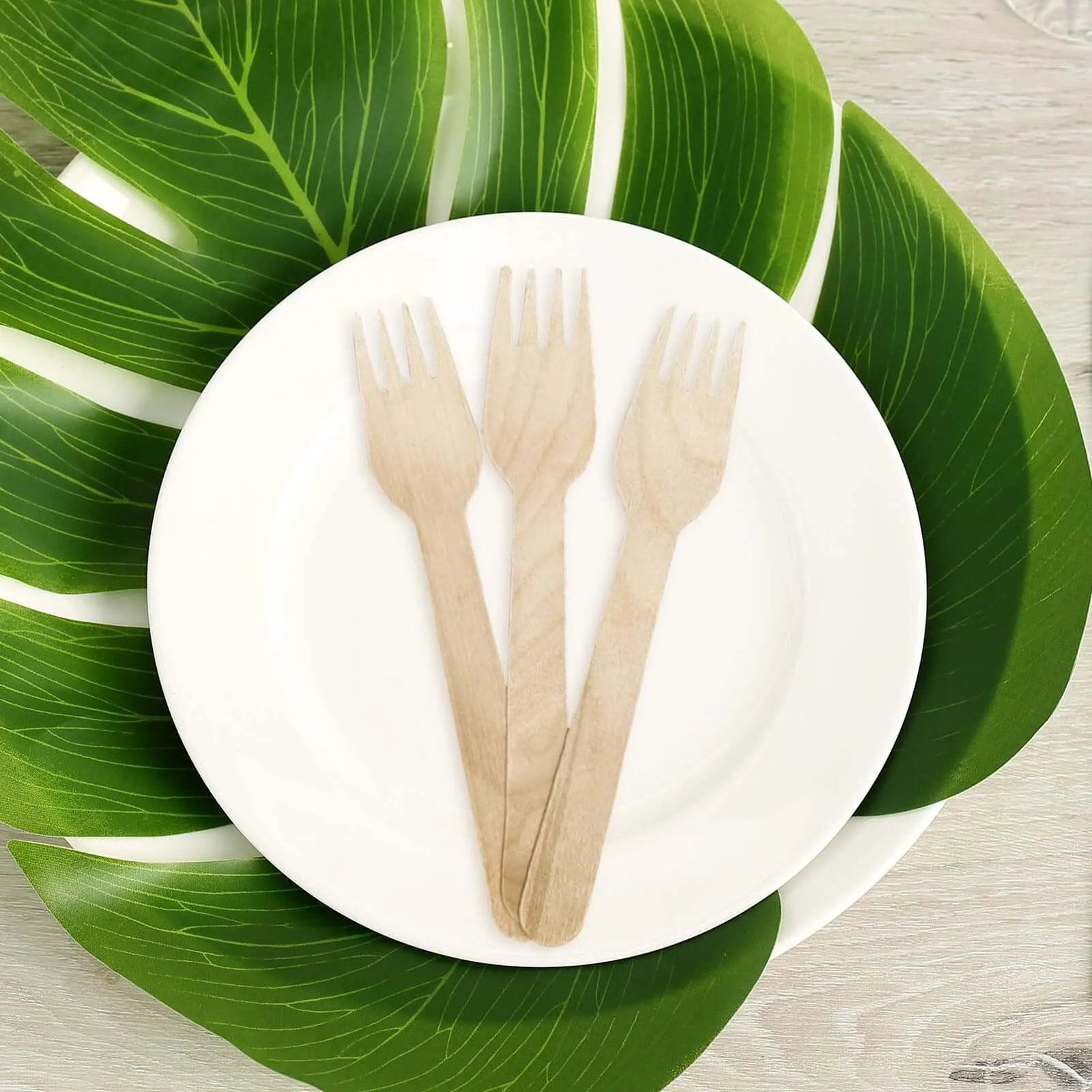 100 Pack Eco Friendly Birchwood Picnic Forks, 6" Biodegradable Wooden Cutlery