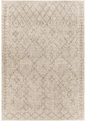 Reagan Outdoor Rug